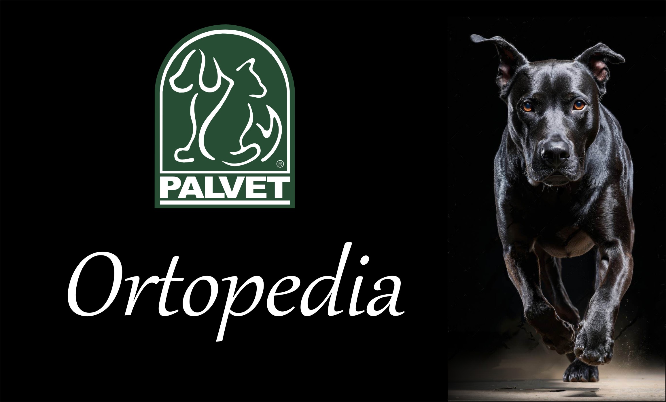 Ortopedia 01